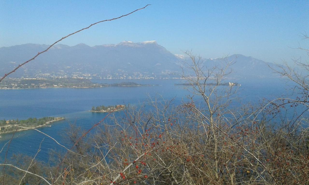 蒙特马伊诺住宿加早餐旅馆 代森扎诺-德尔加达 外观 照片
